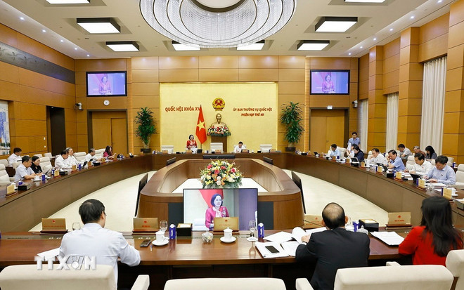 Phó Chủ tịch Quốc hội Nguyễn Thị Thanh phát biểu. (Ảnh: Doãn Tấn/TTXVN) ttxvn-ubtvqh2.jpg