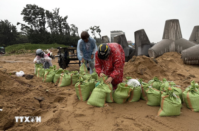 سكان حي توي هوا يُجهّزون أكياس الرمل لدعم منازلهم. (صورة: تونغ كوان/وكالة الأنباء الفيتنامية) ttxvn-bao-so-13-2.jpg