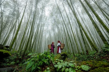 Hà Giang lọt Top 10 thành phố hiếu khách nhất Việt Nam, gây ấn tượng bởi địa hình hiểm trở và bản sắc dân tộc phong phú. (Ảnh minh họa: CTV/Vietnam+)