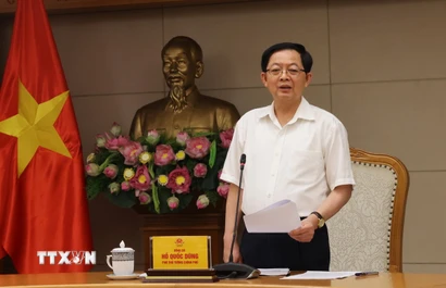 Phó Thủ tướng Hồ Quốc Dũng phát biểu. (Ảnh: Lâm Khánh/TTXVN)