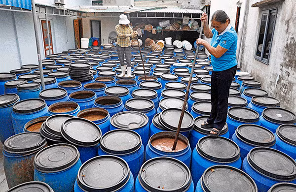 Gia đình chị Trần Thị Liên ở thôn Song Ngọc, xã Quỳnh Ngọc, huyện Quỳnh Lưu vay vốn chính sách phát triển nghề làm nước mắm truyền thống. (Ảnh: Vietnam+)