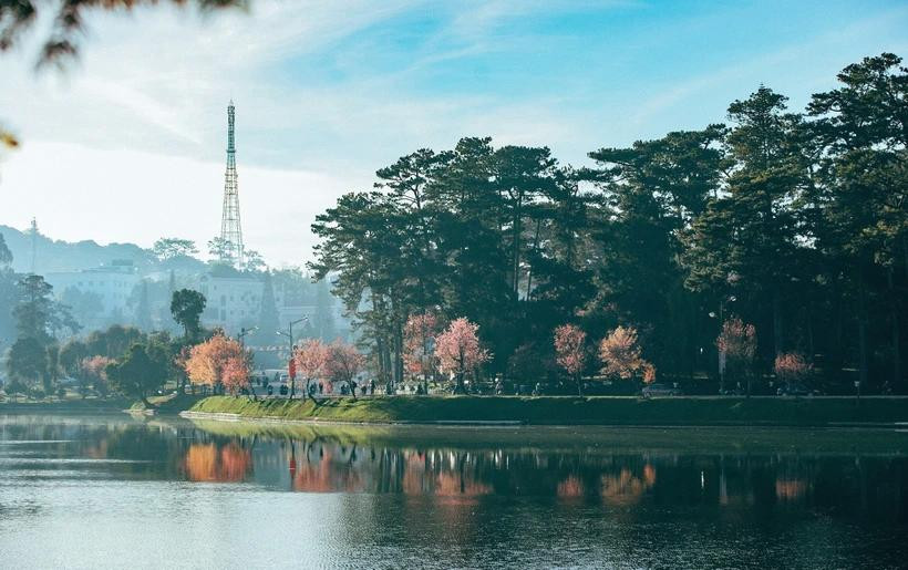 Sa Pa, Đà Lạt và Ninh Bình lọt tốp điểm đến thiên nhiên kỳ thú nhất Đông Nam Á