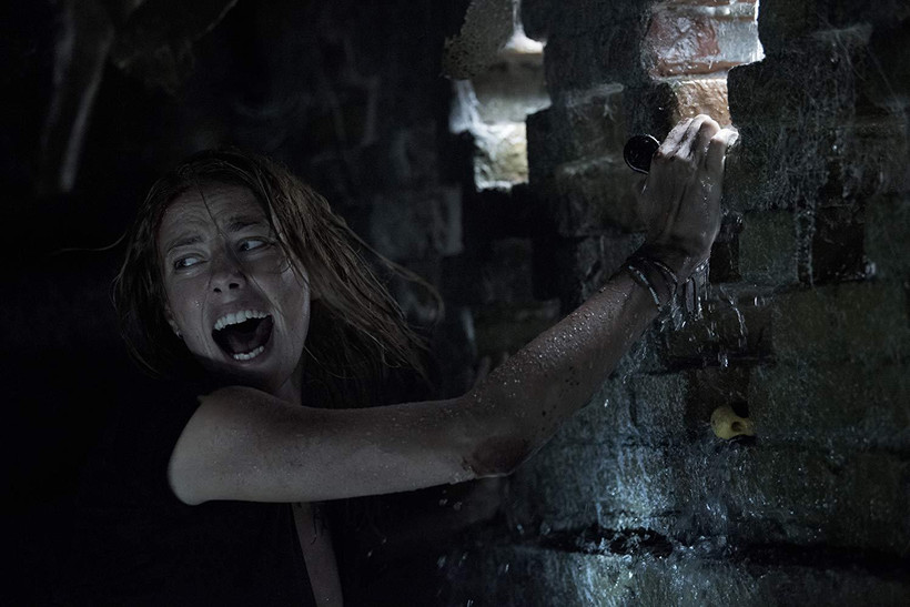 ''Crawl'' tung trailer giới thiệu loài cá sấs khổng lồ. (Nguồn: IMDB)