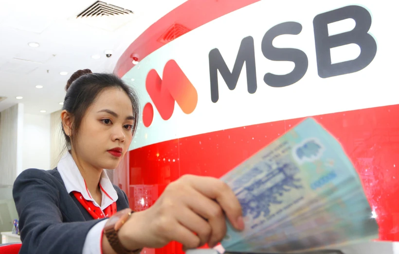 Ảnh minh họa. (Nguồn: CTV/Vietnam+)