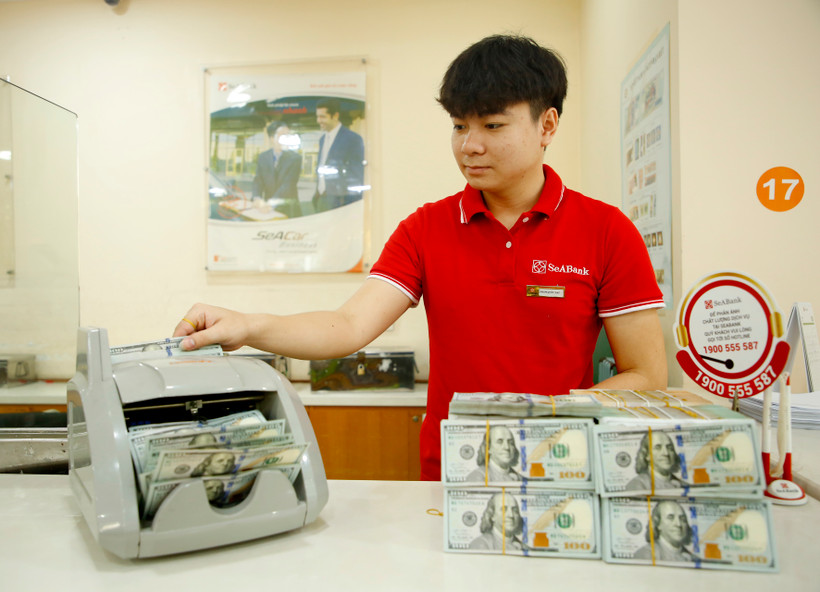 IFC tăng gấp đôi hạn mức tài trợ thương mại cho SeABank lên 40 triệu USD. (Ảnh: PV/Vietnam+)