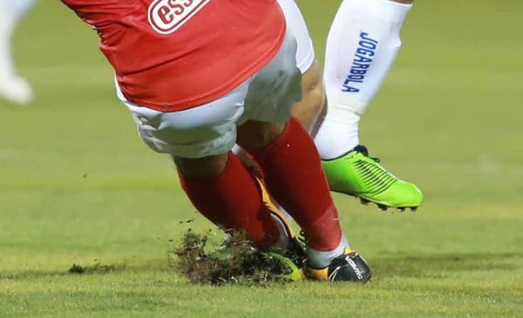 (Ảnh: Lâm Thỏa) 