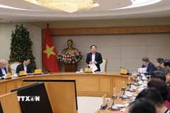 Phó Thủ tướng Hồ Quốc Dũng phát biểu tại cuộc họp. (Ảnh: TTXVN phát)