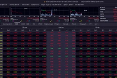 Chỉ số chứng khoán sáng 26/12. (Nguồn: SSI)