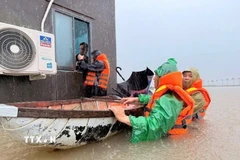 Bộ đội Biên phòng Gia Lai đến từng nhà dân ở phường Hoài Nhơn Đông di chuyển tài sản tránh lũ. (Ảnh: TTXVN phát)