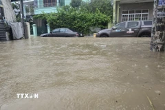 Nhiều ôtô bị ngập ở phường Bắc Nha Trang. (Ảnh: Đặng Tuấn/TTXVN)