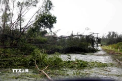 Tuyến đường ven biển Hà Tĩnh gây đổ la liệt gây khó khăn đi lại. (Ảnh: Hoàng Ngà/TTXVN)