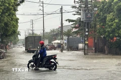 Mưa lớn gây ngập sâu ở Phú Thọ. (Ảnh: Nguyễn Thảo/TTXVN)