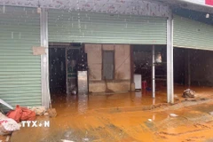 Các hộ dân tại xã Hạnh Phúc bị sạt lở taluy dương. (Ảnh: TTXVN phát)