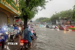 Ngập sâu trên đường Nguyễn Văn Cừ. (Ảnh: An Đăng/TTXVN)