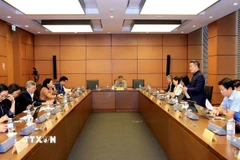 Các đại biểu Quốc hội tỉnh Đồng Tháp và Quảng Ngãi thảo luận tại tổ. (Ảnh: Tuấn Anh/TTXVN)