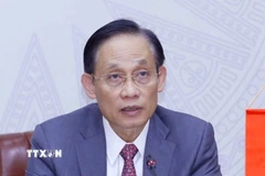 Bí thư Trung ương Đảng, Bộ trưởng Ngoại giao Lê Hoài Trung. (Nguồn: TTXVN)