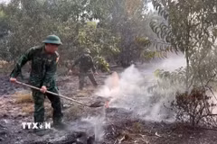 Cán bộ chiến sỹ Đồn Biên phòng cửa khẩu cảng Chân Mây, Ban Chỉ huy Bộ đội Biên phòng thành phố Huế phối hợp với chính quyền địa phương kịp thời khống chế vụ cháy rừng tại xã Chân Mây-Lăng Cô. (Ảnh: TTXVN phát)