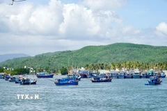 Ngư dân vươn khơi xuyên Tết tại cửa biển Tam Quan. (Ảnh: Sỹ Thắng/TTXVN)