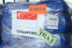 Hàng viện trợ khẩn cấp của Singapore cho người dân vùng thiên tai ở Tuyên Quang. (Nguồn: Bộ Nông nghiệp và Môi trường)