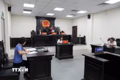 Hội đồng xét xử tuyên án phạt bị cáo Đoàn Bảo Châu 7 năm tù. (Ảnh: Kim Anh/TTXVN)