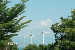 Phía Nam Tỉnh Khánh Hòa có nhiều thuận lợi để phát triển hệ thống điện gió. (Ảnh: Xuân Triệu/TTXVN)