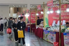 Khách tham quan, mua sắm tại Hội chợ Mùa Xuân. (Nguồn: Vietnam+)