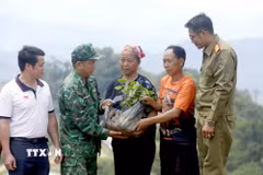 Trao tặng cây càphê giống cho hộ dân bản Móng Nặm, xã Móng Nặm, huyện Xiềng Khọ, tỉnh Hủa Phăn (Lào). (Ảnh: Quang Quyết/TTXVN)
