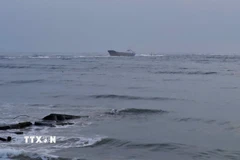 Tàu Thanh Thành Đạt 45 có trọng tải toàn phần 2.947 tấn đang bị mắc cạn tại cảng Cửa Việt, tỉnh Quảng Trị. (Ảnh: TTXVN phát)