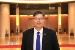 Tiến sỹ Trần Hải Linh, Ủy viên Ủy ban Trung ương Mặt trận Tổ quốc Việt Nam, Chủ tịch Hiệp hội Doanh nhân và Đầu tư Việt Nam-Hàn Quốc, Chủ tịch sáng lập Hội Chuyên gia, Trí thức Việt Nam-Hàn Quốc. (Ảnh: TTXVN phát)