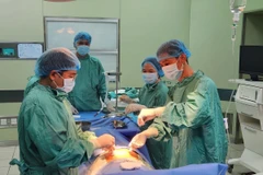 Một ca ghép tủy. (Ảnh minh họa: Mai Trang/TTXVN)