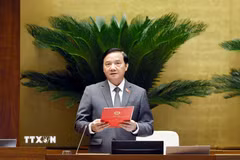 Phó Chủ tịch Quốc hội Nguyễn Khắc Định phát biểu. (Ảnh: Doãn Tấn/TTXVN)