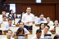 Đại biểu Quốc hội Thành phố Hồ Chí Minh Lê Văn Đông phát biểu. (Ảnh: Doãn Tấn/TTXVN)