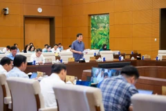 Thứ trưởng Bộ Công Thương Nguyễn Sinh Nhật Tân trình bày Tờ trình của Chính phủ về Dự án Luật Thương mại điện tử. (Nguồn: Cổng thông tin điện tử Quốc hội Việt Nam)