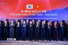 Thủ tướng Lê Minh Hưng và Tổng thống Hàn Quốc Lee Jae Myung cùng các đại biểu dự Diễn đàn kinh tế Việt Nam-Hàn Quốc. (Ảnh: Dương Giang/TTXVN)