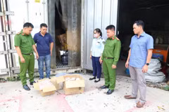 Công an tỉnh Bình Dương phát hiện hơn 11 tấn thực phẩm đông lạnh không rõ nguồn gốc. (Ảnh: TTXVN phát)