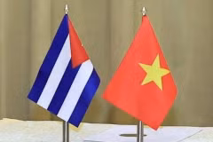 Ảnh minh họa.