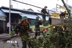 Cán bộ, chiến sỹ Trung đoàn 320 tham gia dọn dẹp, khắc phục hậu quả dông lốc. (Ảnh: Hồng Thái/TTXVN)
