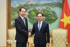 Phó Thủ tướng Bùi Thanh Sơn tiếp Đại sứ Trung Quốc tại Việt Nam Hà Vĩ. (Ảnh: An Đăng/TTXVN)