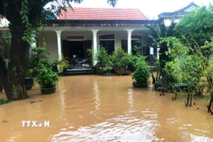 Nhiều căn nhà ở Quảng Trị bị ngập sâu. (Ảnh: Tường Vi/TTXVN)