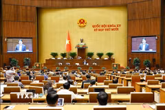 Bộ trưởng Bộ Công an Lương Tam Quang giải trình, làm rõ một số vấn đề đại biểu Quốc hội nêu. (Ảnh: Doãn Tấn/TTXVN)