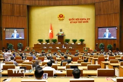 Bộ trưởng Bộ Công an Lương Tam Quang giải trình, làm rõ một số vấn đề đại biểu Quốc hội nêu. (Ảnh: Doãn Tấn/TTXVN)