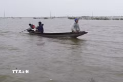 Việc đi lại giữa xã Quảng Điền và phường Kim Trà, thành phố Huế phải dùng thuyền, do lũ sông Bồ dâng cao gây ngập lụt ngày 17/11. (Ảnh: Nguyên Lý/TTXVN)