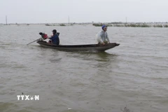 Việc đi lại giữa xã Quảng Điền và phường Kim Trà, thành phố Huế phải dùng thuyền, do lũ sông Bồ dâng cao gây ngập lụt ngày 17/11. (Ảnh: Nguyên Lý/TTXVN)
