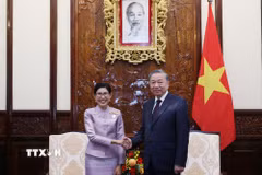 Tổng Bí thư, Chủ tịch nước Tô Lâm tiếp Đại sứ Vương quốc Thái Lan Urawadee Sriphiromya tới trình Quốc thư, nhận nhiệm vụ tại Việt Nam. (Ảnh: Lâm Khánh/TTXVN)