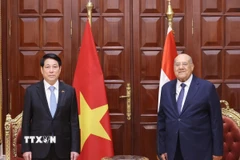 Chủ tịch nước Lương Cường hội kiến Chủ tịch Thượng viện Ai Cập Abdel-Wahab Abdel-Razek. (Ảnh: Lâm Khánh/TTXVN)