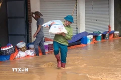 Vận chuyển tài sản của nhân dân xã Bó Sinh đến nơi an toàn. (Ảnh: TTXVN phát)