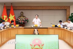 Phó Thủ tướng Lê Tiến Châu phát biểu tại buổi làm việc. (Ảnh: An Đăng/TTXVN)