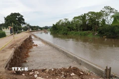 Ảnh minh họa. (Ảnh: Hoa Mai/TTXVN)