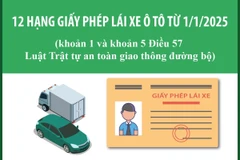 12 hạng giấy phép lái xe ôtô gồm những hạng gì?