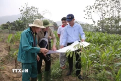 Các đơn vị trực thuộc Sở Nông nghiệp và Môi trường tỉnh Yên Bái khảo sát, đo đạc tuyến đường sắt Lào Cai-Hà Nội-Hải Phòng. (Ảnh: TTXVN phát)